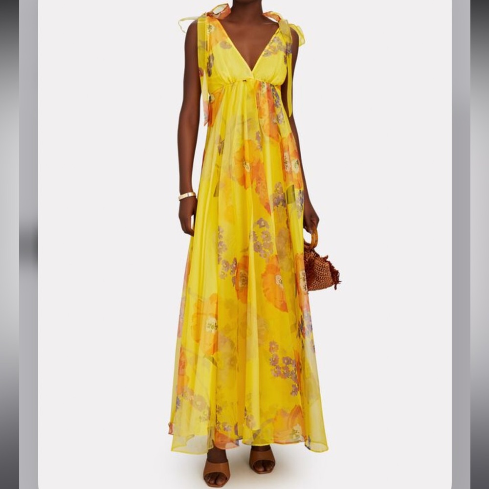 Staud Dandelion Floral Organza Maxi Dress